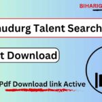 Sindhudurg Talent Search Exam Result
